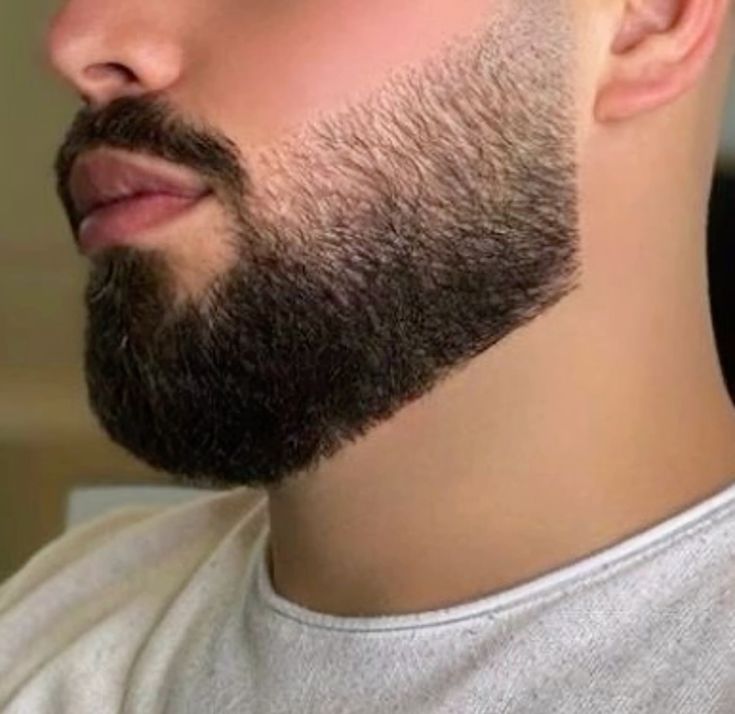 Salon view of fade haircut with shaped beard trim